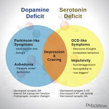 Do You Have Low Serotonin Levels Drjockers Com
