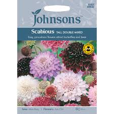 We did not find results for: Pack Of Tall Double Mixed Scabious Flower Seeds