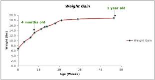 Australian Shepherd Growth Chart Best Picture Of Chart