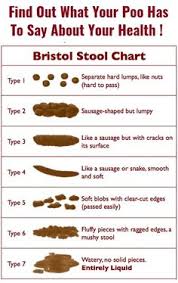 8 Best Bristol Stool Chart Mug Images Stool Chart Bristol
