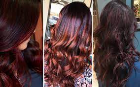 Brown Hair With Red Highlights Hairstyles Inspiration Guide Red Highlights In Brown Hair Red Brown Hair Brown Hair With Highlights