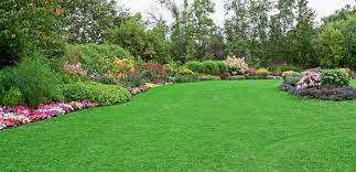 Servicing all of your lawn care needs including regular maintenance, hedge trimming, mulching, leaf removal and more. 919 263 5200
