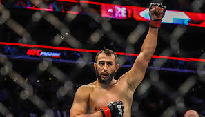 Ufc apex, las vegas united states. Czflk0flq42p6m