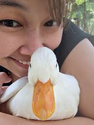 fall in love wholeheartedly 🩷🧡💛💙