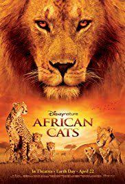 Film Adli Kullanicinin Film Izle Panosundaki Pin Afrikalilar Kedi Afrika