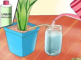How To Water Plants While You Re Away Water Plants Plants Self Watering Planter