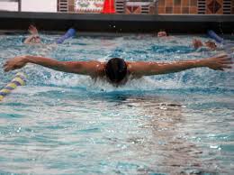 Boys swimming & diving top performances: Northampton's Johnny Williams,  Belchertown's Matthew Quinney, Ben LaClair lead final update of season