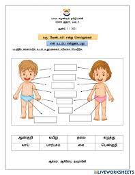 Tamil kids exercise learn body parts. Body Parts In Tamil Worksheet