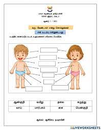 Human body parts comprise a head, neck and four limbs that are connected to a torso. Body Parts In Tamil Worksheet
