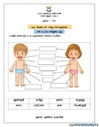 Russian samoan scottish gaelic serbian sesotho shona sindhi sinhala slovak slovenian somali spanish sudanese swahili swedish tajik tamil telugu thai turkish ukrainian urdu uzbek vietnamese welsh xhosa yiddish. Body Parts In Tamil Worksheet