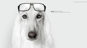 Image result for arte commerciale