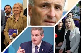 Who are the political parties putting forward in the Seanad election?