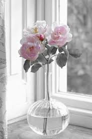 Dana organised the most beautiful flowers for our wedding at short notice. God S Paintbrush Of Grace 2017 Beautiful Flower Arrangements Beautiful Flowers Easy To Grow Flowers