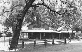 BICYCLIST INJURED:Menlo Park bicyclist severely injured, dragged under  truck; driver arrested for felony drunken driving. Page 6