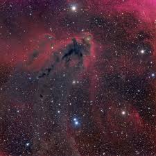 Apo Tec140 140 F7 2 Fli Proline 16803 Ha 330m L 240m R 120m G 120m B 120m Warrumbungle Observatory Coonabarabr Nebula Astrophotography Orion
