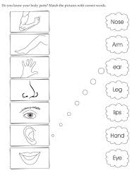 A collection of downloadable worksheets, exercises and activities to teach body parts, shared by english language teachers. Body Parts Worksheets For Preschoolers Phenomenal Pin On Environmental And Social Studies Free Jaimie Bleck