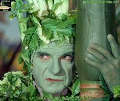 My Moms Garden friend looks like Celeste! Thought she might be appreciated  here ☺️