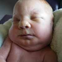 Carter Lane Herrick (2015–2015)