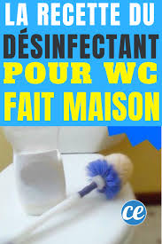 Le Nettoyant Maison Pour Desinfecter Vos Wc Efficacement Desinfectant Maison Nettoyer Maison Desinfectant