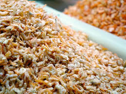 We did not find results for: Serba Serbi Ebi Kering Dari Laut Menuju Dapur Kangjamal Com