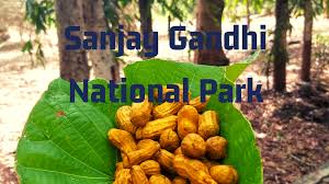 A Visit to Sanjay Gandhi National Park ...