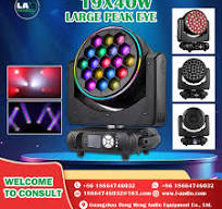 19x40W Big Bee Eyes Wash Zoom Head Light