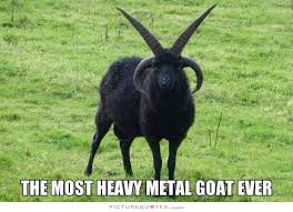 Heavy Metal Quotes &amp; Sayings | Heavy Metal Picture Quotes via Relatably.com
