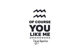 Find quotes, fonts and a wide range of design elements, svg eps dxf png ttf otf. Of Course You Like Me I M Svg Cut Files 20774 Free Svg Files For Cricut Silhouette And Brother Scan N Cut