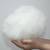 Cotton Stuffing Png