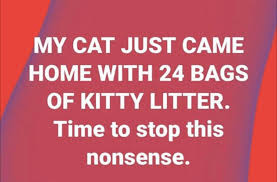 Mid Week In Pictures Social Distancing Edition Power Line Funny Funny Quotes Sarcastic Quotes