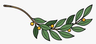 Leaf clip art leave a comment. Plant Flora Leaf Branch Of Leaves Clipart Hd Png Download Transparent Png Image Pngitem
