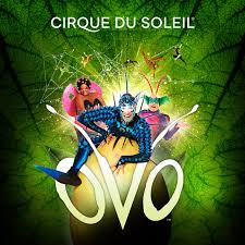 Shows In Dallas Cirque Du Soleil