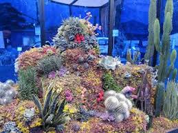 The Constant Gardener Postcard From Hampton Court Conceptual Miniature Garden Succulent Garden Design Succulent Landscape Design