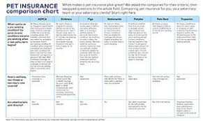 As with all pet insurance, the price can vary depending on where you live, the age of your rabbit and the kind of rabbit you have. Pet Insurance Comparison Chart