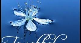 Sehingga kewajiban untuk para da'i. Pengertian Dan Bentuk Tawakkal Bacaan Madani Bacaan Islami Dan Bacaan Masyarakat Madani