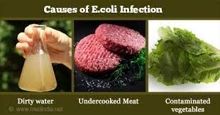Maybe you would like to learn more about one of these? E Coli Infection Escherichia Coli Infection Causes Diagnosis Symptoms Treatment Risk Factors Prevention