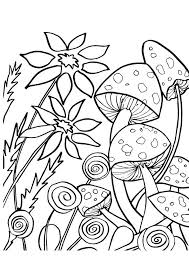 They come in all shapes and sizes… and colors! Parentune Free Printable Tree Like Mushroom Coloring Picture Assignment Sheets Pictures For Child