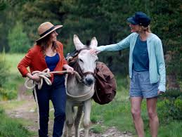 April 5 coded bias family reunion: French Films At The International Box Office April 2021 Unifrance