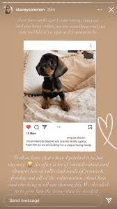 Instagram/ stacey solomon) two patterned mirrors hang on the wall and a blue towel which matches the shade of the walls can be seen hanging up. Stacey Solomon 20 Doing A Live But Full Of Regrets As The Kids Spill All Her Secrets Page 4 Tattle Life