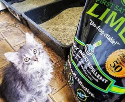 The ultimate shark tank fan site. Shark Tank Season 11 Episode 19 Everything About First Saturday Lime Insect Repellent As Seen On Shark Tank Thenewscrunch