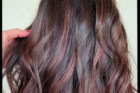 Black hair is perfect for experimenting especially with fun colors like purple. 25 Dark Purple Hair Color Ideas