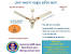 G F C Ceiling Fan Price In Bangladesh