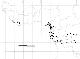 Image result for Octolepis decalepis