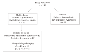 Clinicohistopathological Implications Of Phosphoserine 9