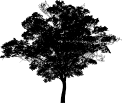 Free Image On Pixabay Tree Landscape Silhouette Plant Tree Silhouette Silhouette Vector Landscape Silhouette