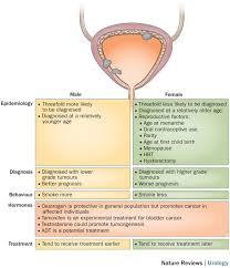 Treatment options include different types of surgery (transurethral resection, radical and partial cystectomy, and urinary diversion), radiation therapy, chemotherapy, and immunotherapy. Gender Differences In Incidence And Outcomes Of Urothelial And Kidney Cancer Nature Reviews Urology