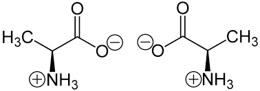 S Alanine And R Alanine In Zwitterionic Form At Neutral Ph The Mirror Images Of A Chiral Molecule Ion Are Called Enantiomers Optical Isomers Most Biomo