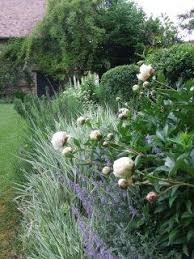 Image Via My French Country Home Pflanzen Garten Garten Bepflanzen