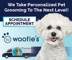 🐾 Give Your Pets the Care They Deserve with Sophie's Pet Services! 🐾  757-419-1766 sophiajuneafaraci@gmail.com Sophies Pet Services LLC Looking  for top-notch care for your furry friends? Sophie's Pet Services offers  everything