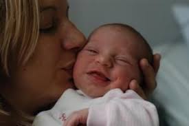 Carnet Rose Archives